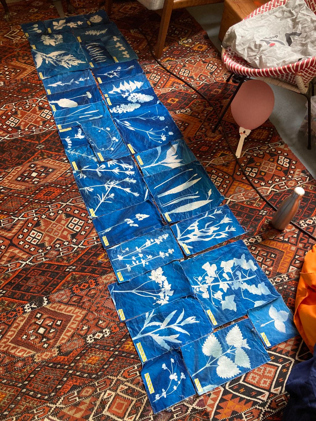 Capturing Nature’s Essence: A Review of Felicitas’ Cyanotype Botanical Artistry