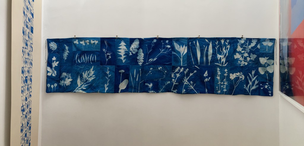 A Tale of Transformation: From Barren to Bountiful in the Badlands